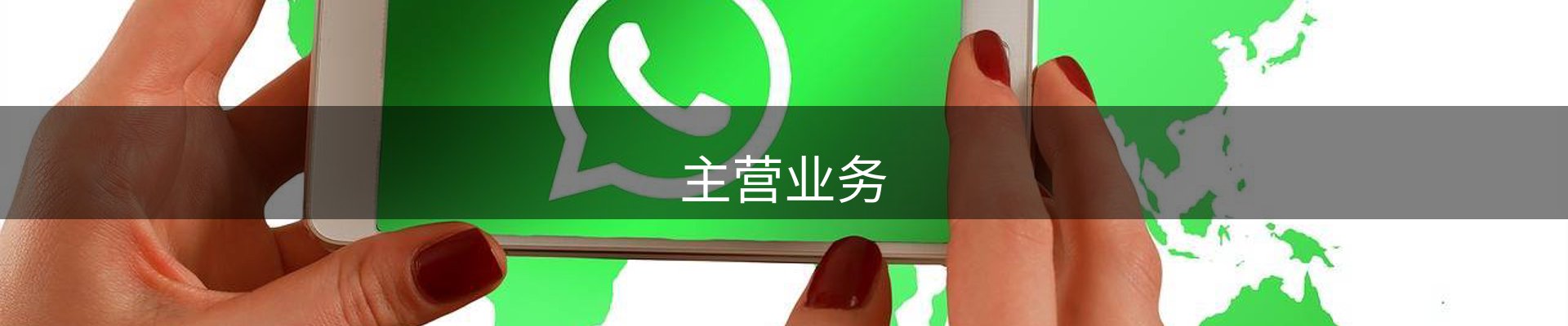 主营业务